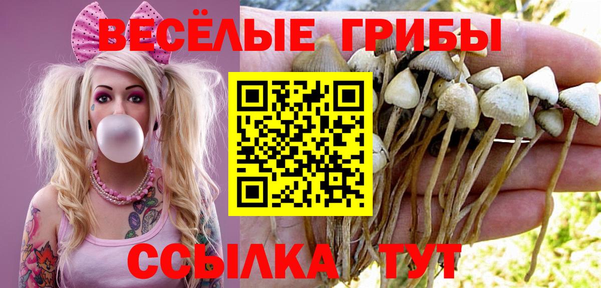 Галлюциногенные грибы MAGIC MUSHROOMS Берёзовский