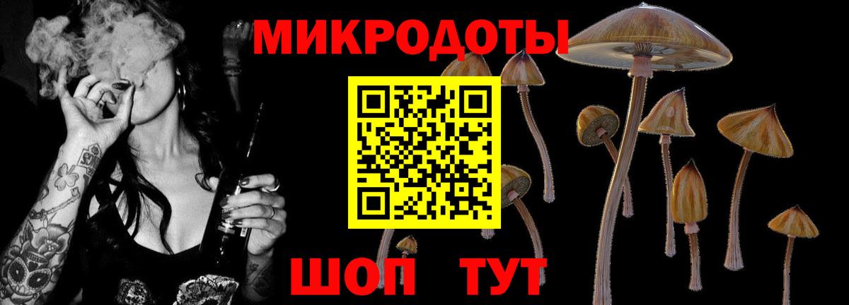 Галлюциногенные грибы прущие грибы  Вход с VPN  Псилоцибиновые грибы Cubensis  Берёзовский 